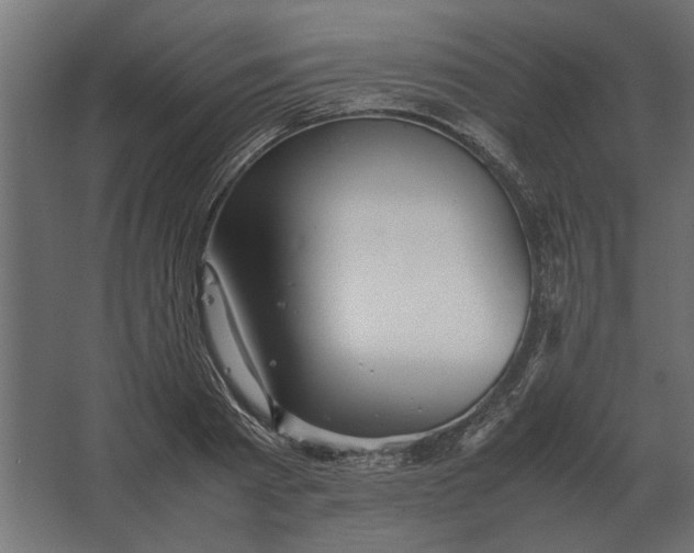 X0000067520793200604211816