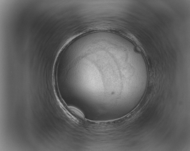 X0000067520795200604211815