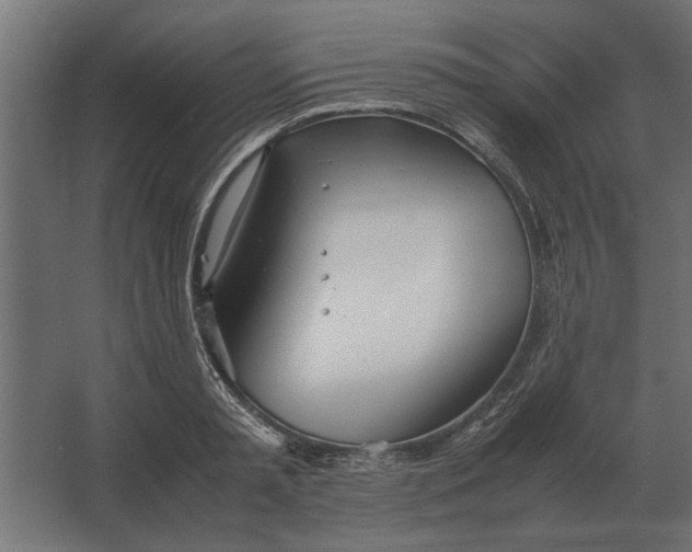 X0000067520797200604211815