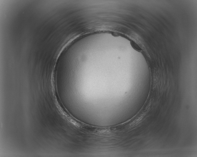 X0000067520798200604211815