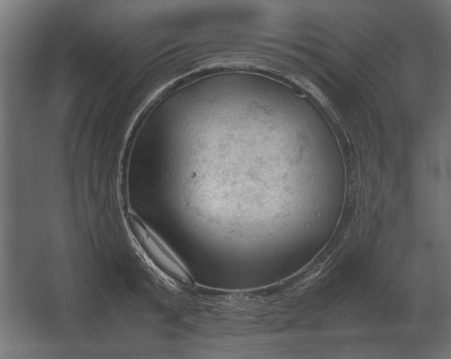 X0000067520799200604211815