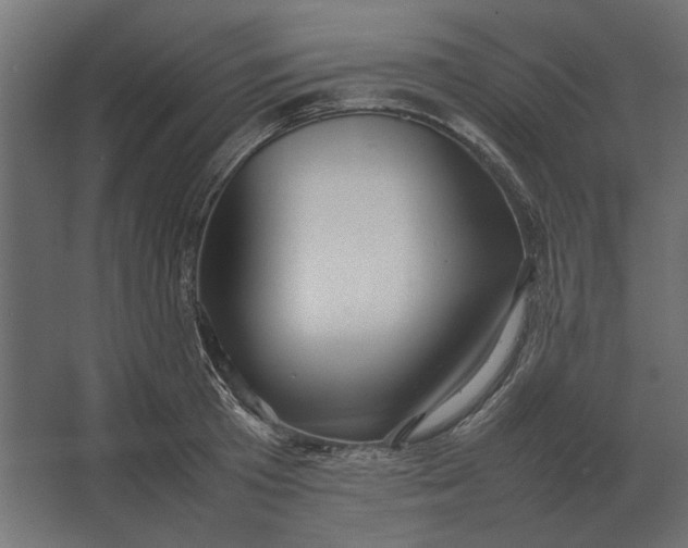 X0000067520801200604211815