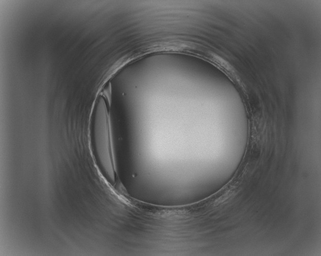 X0000067520802200604211815