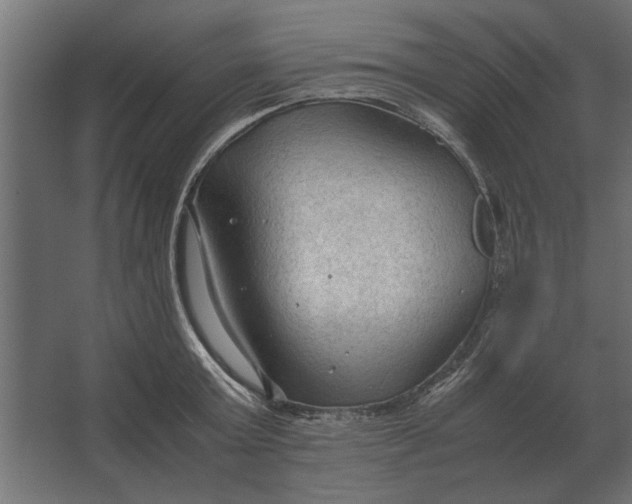 X0000067520803200604211815