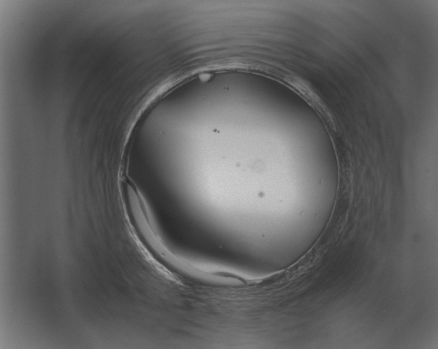 X0000067520805200604211815