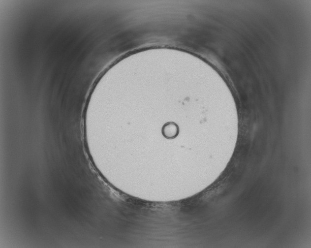 X0000067520807200604211815