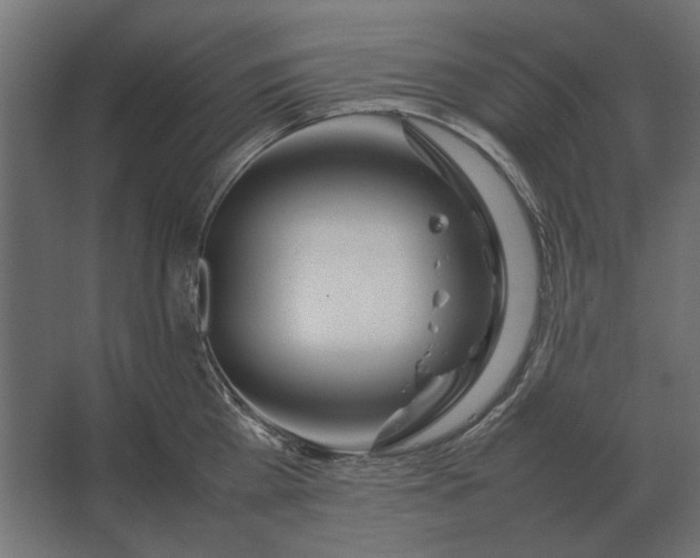 X0000067520809200604211815