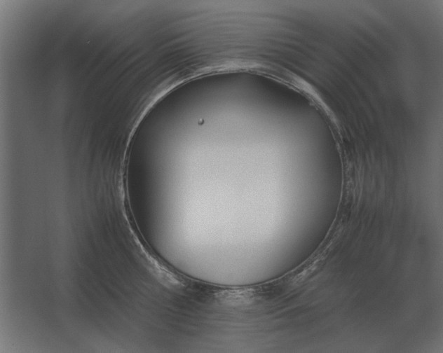 X0000067520810200604211815