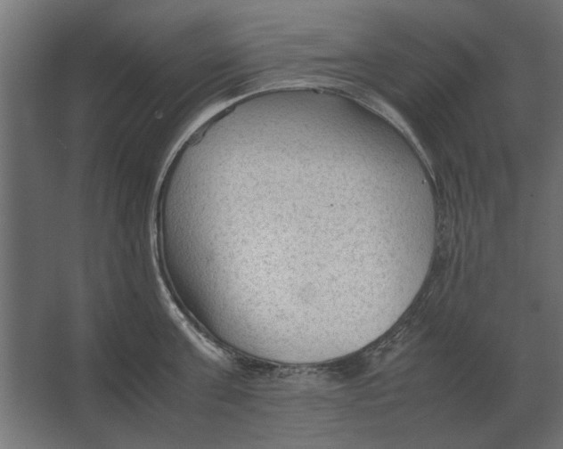 X0000067520811200604211815