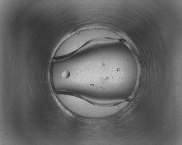 X0000067520813200604211815