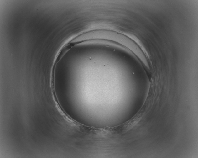 X0000067520815200604211815