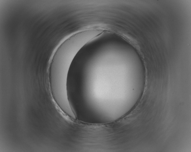 X0000067520816200604211815