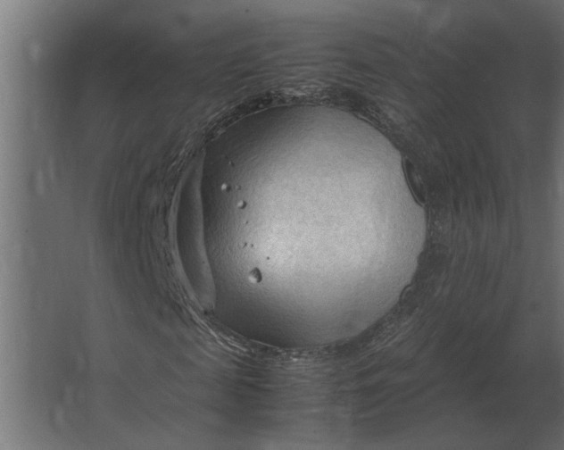 X0000067520817200604211814