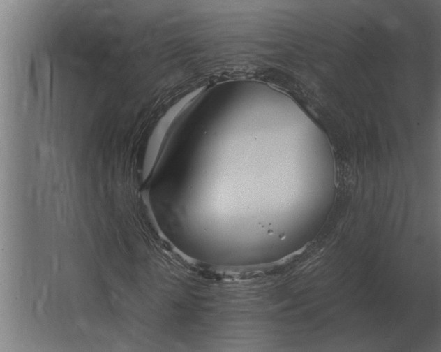 X0000067520818200604211814