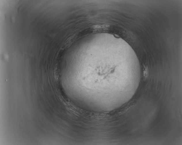 X0000067520819200604211814