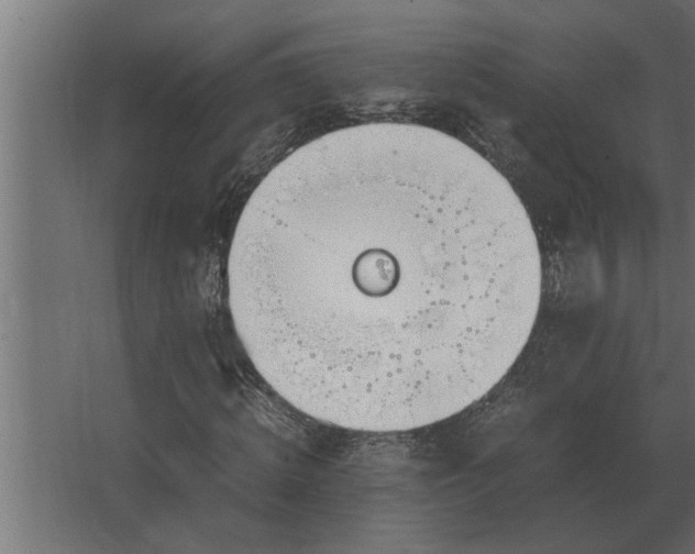 X0000067520820200604211814