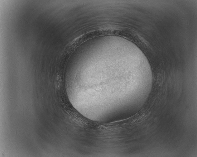 X0000067520821200604211814