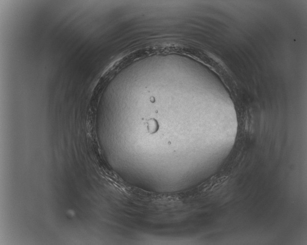 X0000067520823200604211814