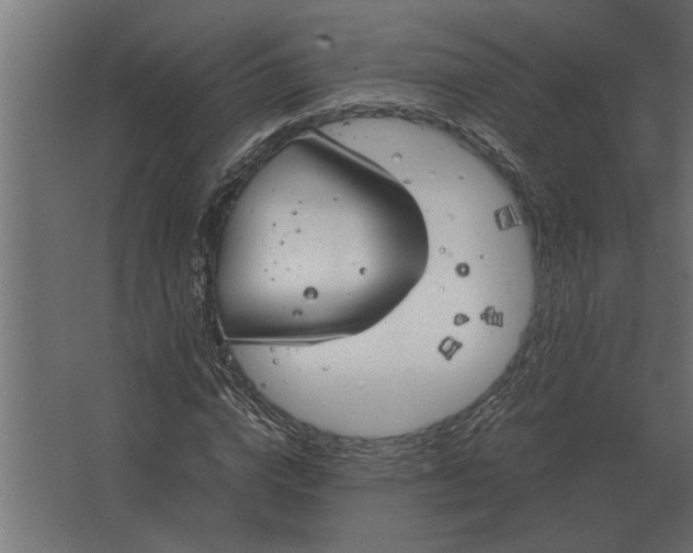 X0000067520824200604211814