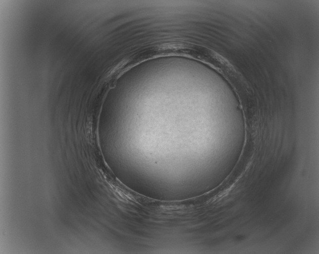 X0000067520825200604211814