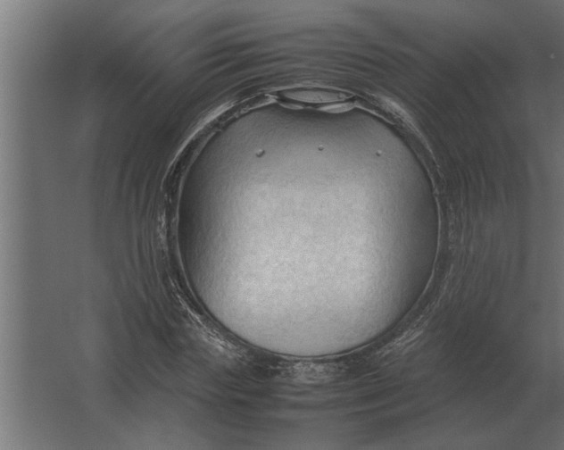 X0000067520827200604211814