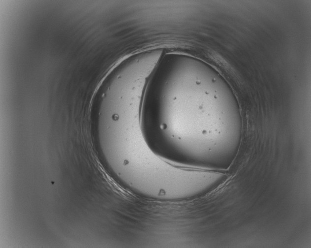 X0000067520828200604211814