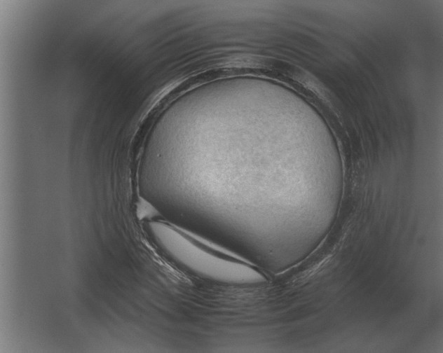 X0000067520829200604211815