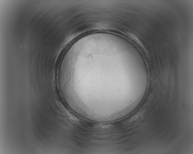 X0000067520831200604211815