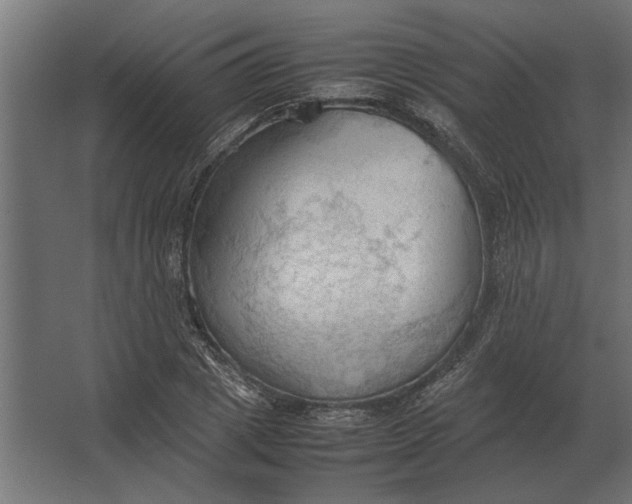 X0000067520833200604211815