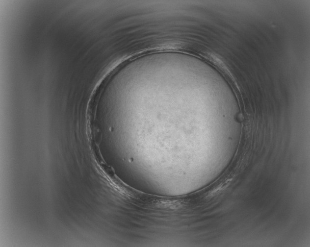 X0000067520835200604211815