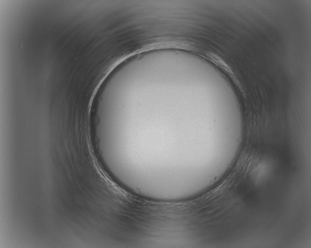 X0000067520836200604211815