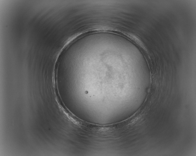 X0000067520839200604211815