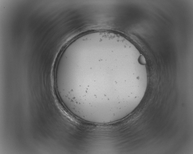 X0000067520840200604211815