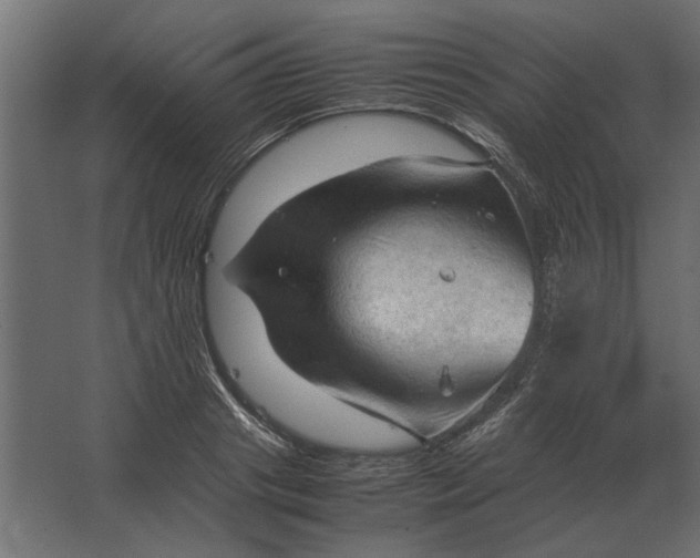 X0000067520841200604211815