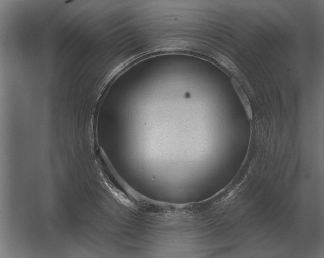 X0000067520842200604211815