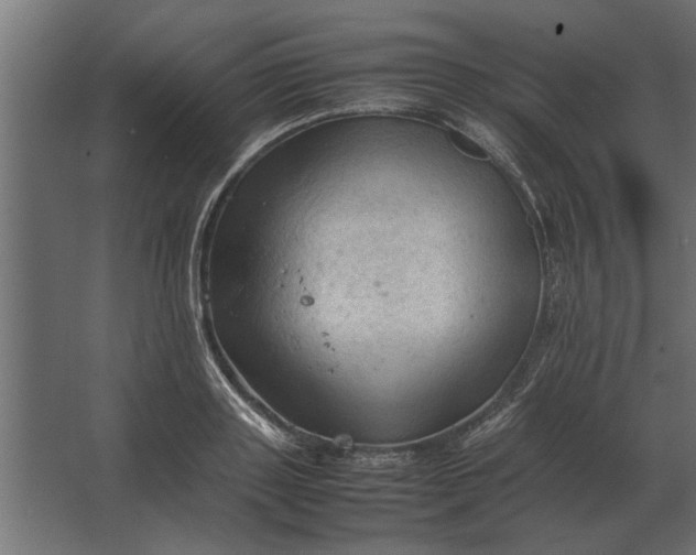 X0000067520843200604211815