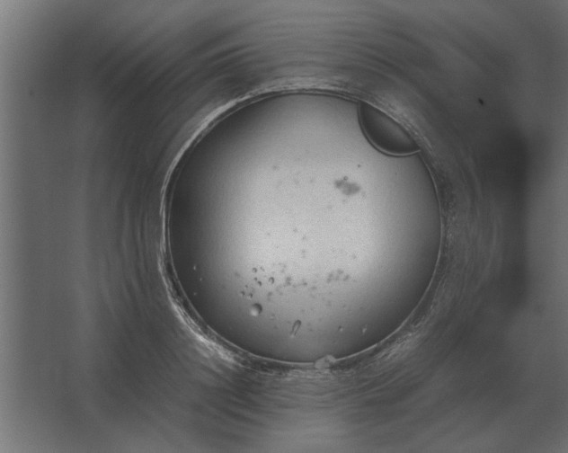 X0000067520844200604211815