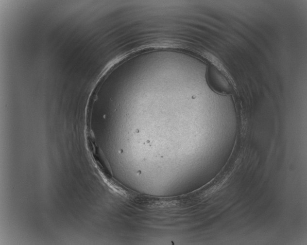 X0000067520845200604211815