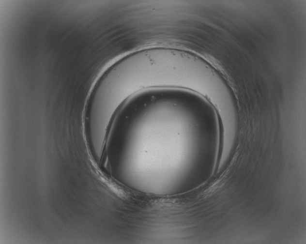 X0000067520846200604211815