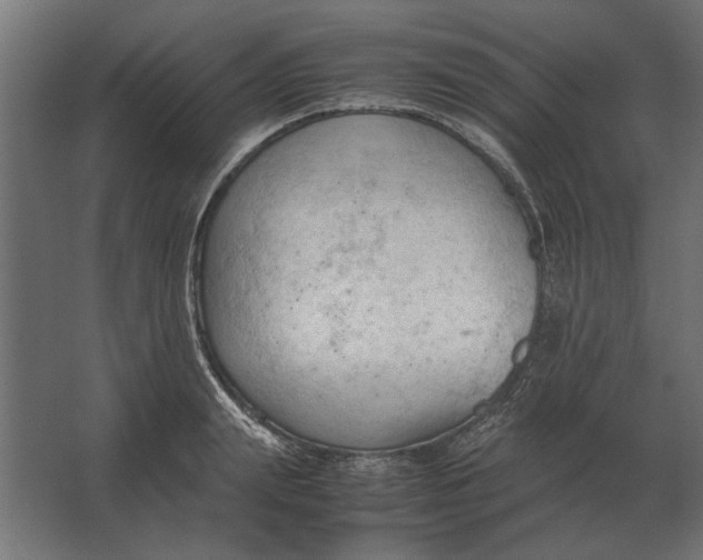 X0000067520847200604211815