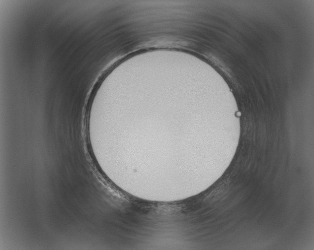 X0000067520848200604211815