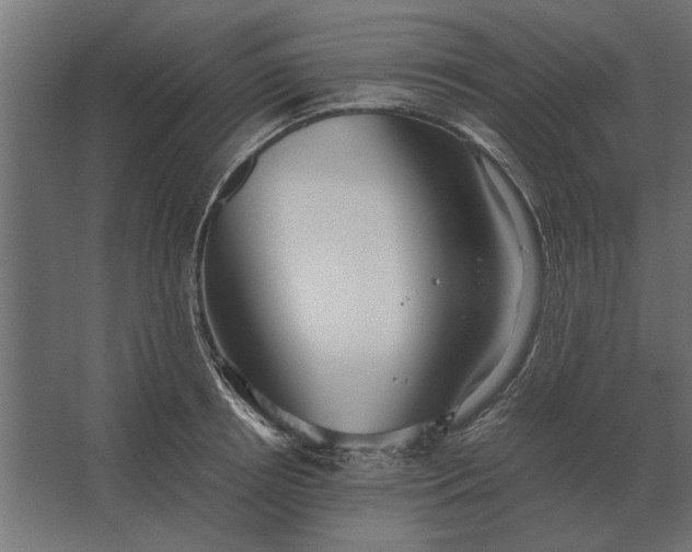 X0000067520850200604211815