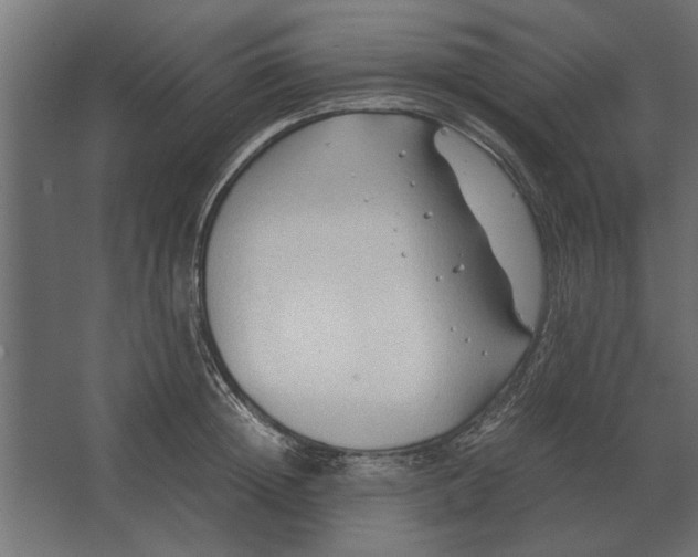 X0000067520852200604211815