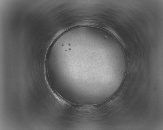 X0000067520853200604211815