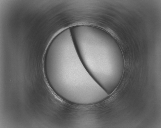 X0000067520854200604211815