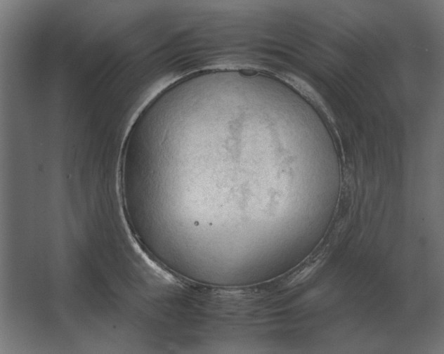 X0000067520855200604211815