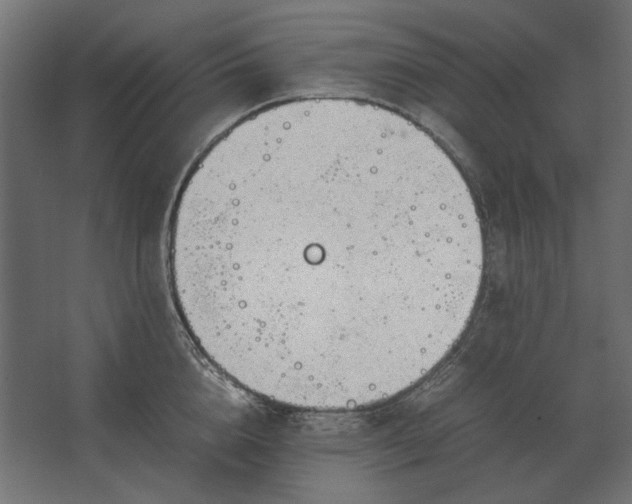 X0000067520856200604211815