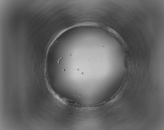 X0000067520860200604211815