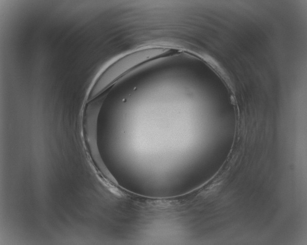 X0000067520862200604211815