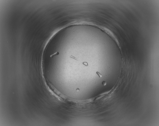 X0000067520863200604211815